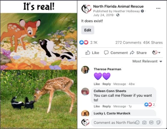 a-screenshot-of-north-florida-animal-rescues-facebook-post-that-went-viral